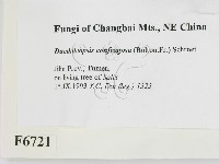 登錄號:F0006721藏品圖，第2張