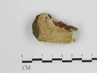 登錄號:F0006721藏品圖，第1張