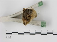 登錄號:F0006721藏品圖，第3張