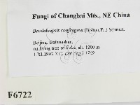 登錄號:F0006722藏品圖，第2張