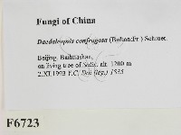 登錄號:F0006723藏品圖，第2張