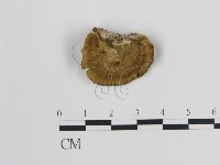 登錄號:F0006723藏品圖，第3張