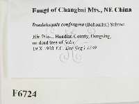 登錄號:F0006724藏品圖，第2張