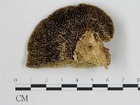 登錄號:F0006724藏品圖，第1張