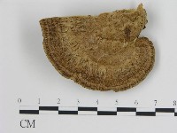 登錄號:F0006724藏品圖，第3張