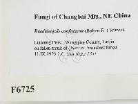 登錄號:F0006725藏品圖，第2張