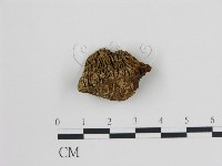 登錄號:F0006725藏品圖，第1張