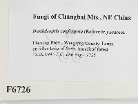 登錄號:F0006726藏品圖，第2張