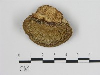 登錄號:F0006726藏品圖，第1張