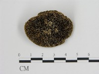 登錄號:F0006726藏品圖，第3張