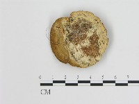 登錄號:F0006727藏品圖，第3張