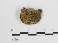 登錄號:F0006728藏品圖，第1張