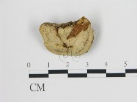 登錄號:F0006728藏品圖，第3張
