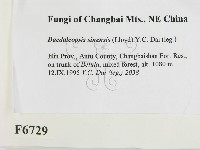 登錄號:F0006729藏品圖，第2張