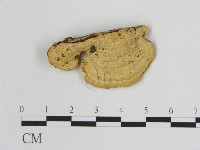 登錄號:F0006729藏品圖，第1張