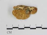 登錄號:F0006729藏品圖，第3張