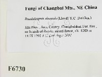 登錄號:F0006730藏品圖，第2張