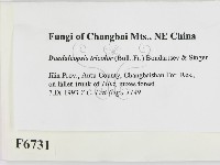 登錄號:F0006731藏品圖，第2張