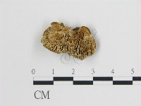 登錄號:F0006731藏品圖，第1張