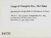 登錄號:F0006732藏品圖，第2張
