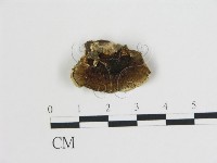 登錄號:F0006732藏品圖，第3張