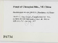 登錄號:F0006734藏品圖，第2張