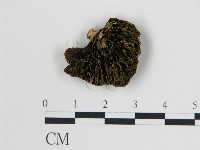 登錄號:F0006734藏品圖，第1張