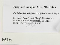 登錄號:F0006735藏品圖，第2張