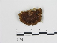 登錄號:F0006735藏品圖，第1張