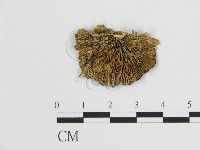 登錄號:F0006735藏品圖，第3張