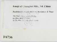 登錄號:F0006736藏品圖，第2張