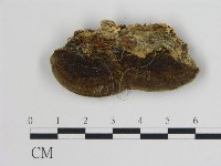 登錄號:F0006736藏品圖，第3張