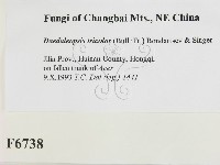 登錄號:F0006738藏品圖，第2張