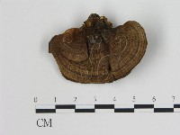 登錄號:F0006738藏品圖，第3張