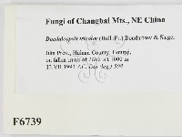 登錄號:F0006739藏品圖，第2張