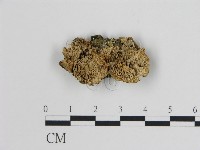 登錄號:F0006739藏品圖，第1張