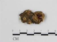 登錄號:F0006739藏品圖，第3張