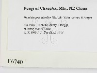 登錄號:F0006740藏品圖，第2張