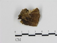 登錄號:F0006740藏品圖，第3張
