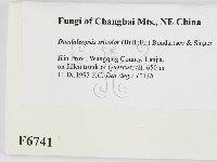 登錄號:F0006741藏品圖，第2張
