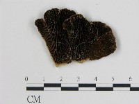 登錄號:F0006741藏品圖，第1張