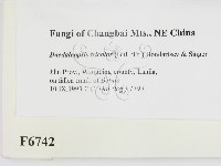 登錄號:F0006742藏品圖，第2張