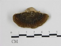 登錄號:F0006742藏品圖，第1張