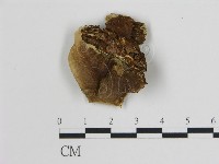 登錄號:F0006744藏品圖，第3張