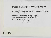 登錄號:F0006745藏品圖，第2張