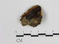 登錄號:F0006745藏品圖，第3張