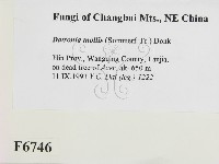 登錄號:F0006746藏品圖，第2張