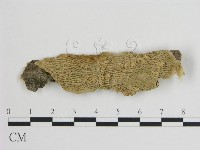 登錄號:F0006746藏品圖，第1張