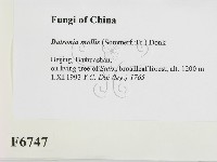 登錄號:F0006747藏品圖，第2張