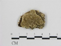 登錄號:F0006747藏品圖，第1張